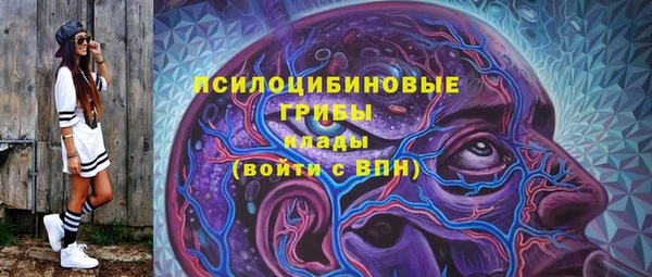 кокс Няндома