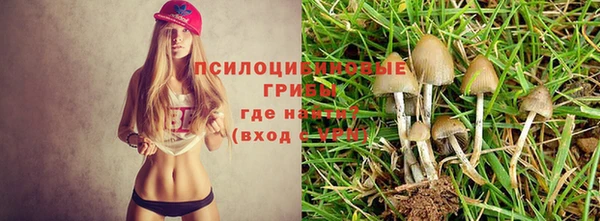 jwh Осташков
