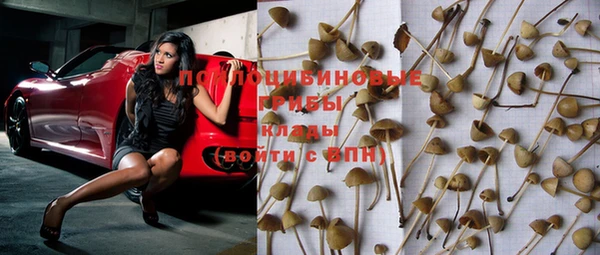apvp Осинники