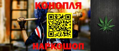 крисы Апшеронск