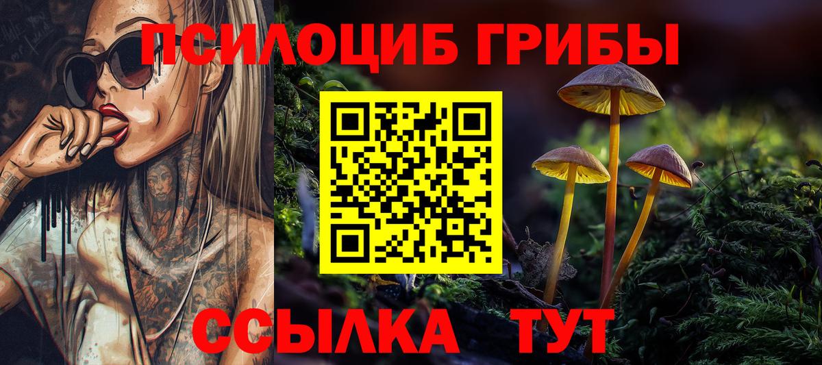 Галлюциногенные грибы Cubensis  Вход с VPN  Барнаул 